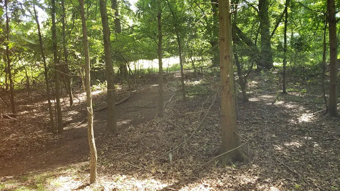TJ Dirt park Picture 2