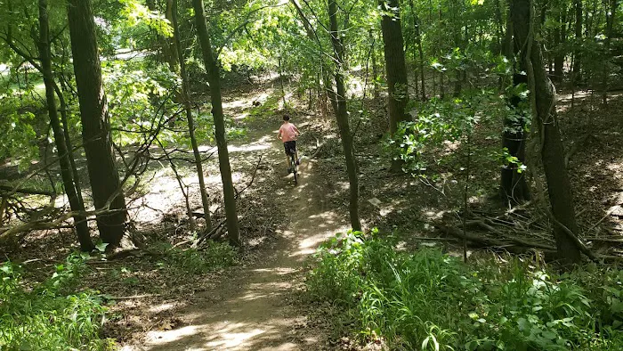 TJ Dirt park Picture 4