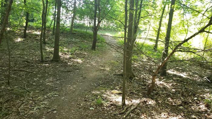 TJ Dirt park Picture 1
