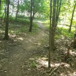 TJ Dirt park