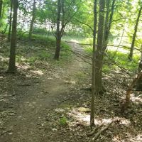 TJ Dirt park ico
