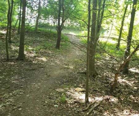 TJ Dirt park