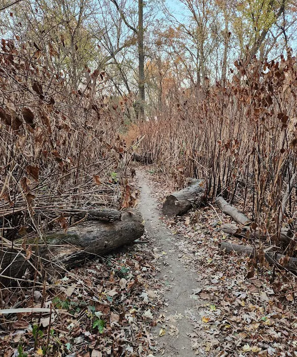 Scenic trail Picture 5