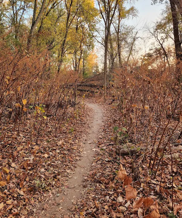 Scenic trail Picture 2