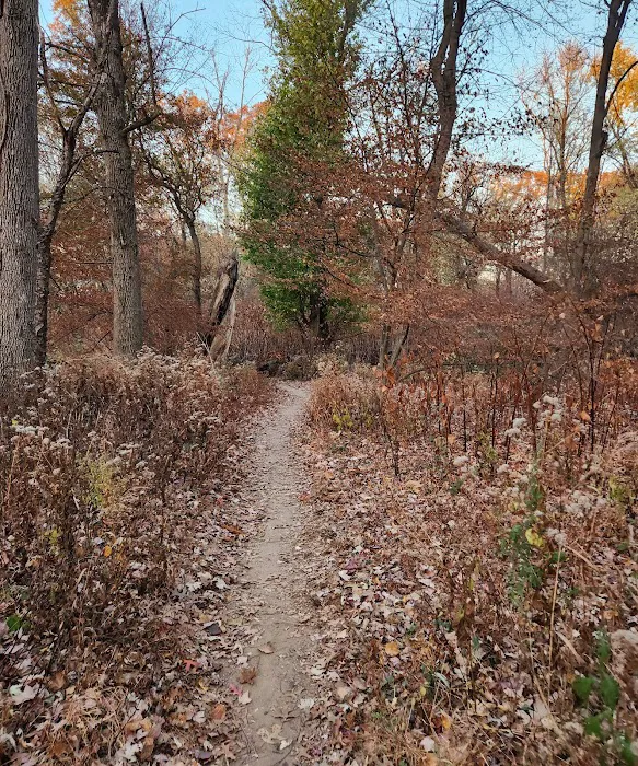 Scenic trail Picture 3