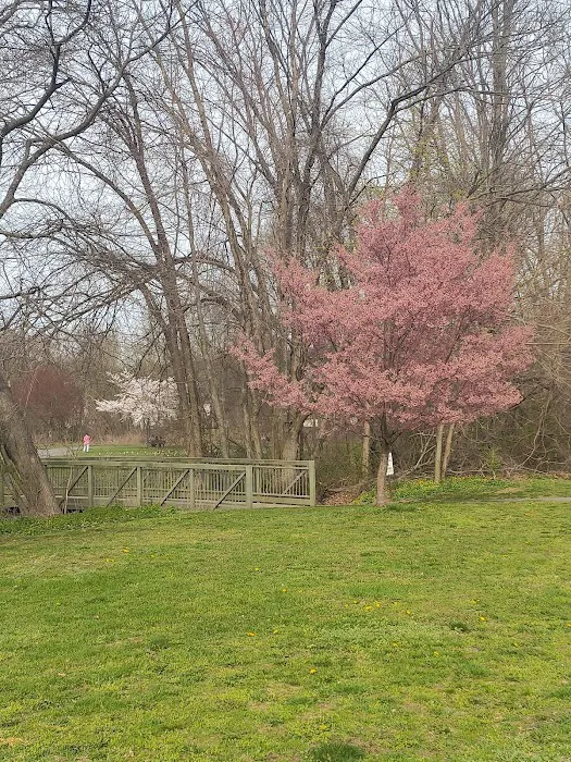Saddle river county park- fairlawn area Picture 2