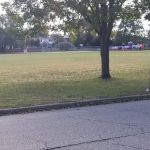 Brookdale Park