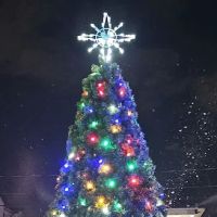 Firemans Circle Park ico