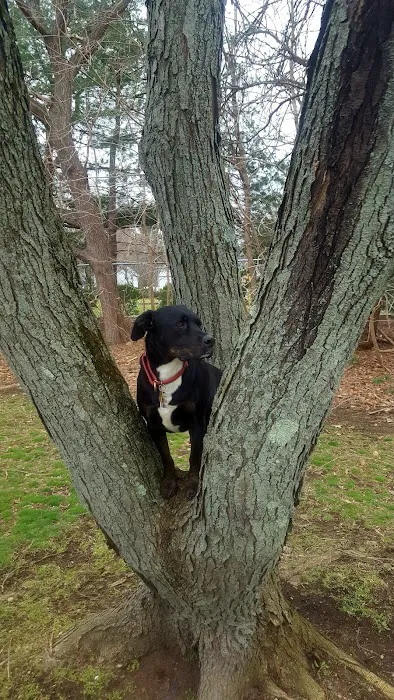 Madison Park Picture 3