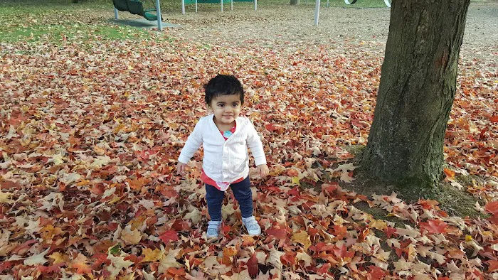 Madison Park Picture 4