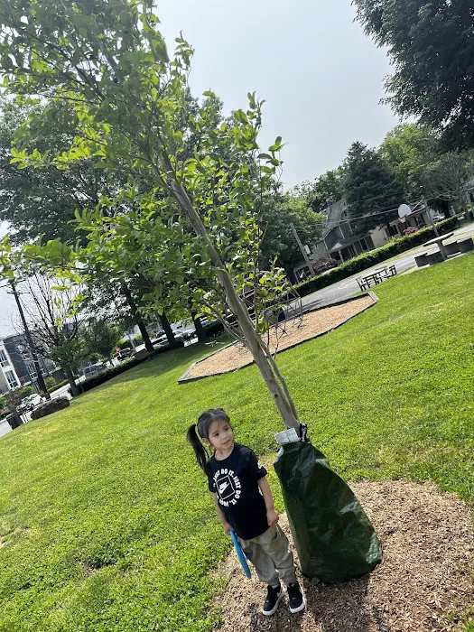 Franklin Street Park Picture 2