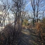 Raymong G. Esposito Rail Trail trailhead