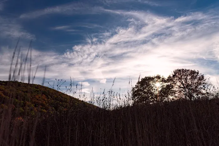 Mountainview Nature Park Picture 3