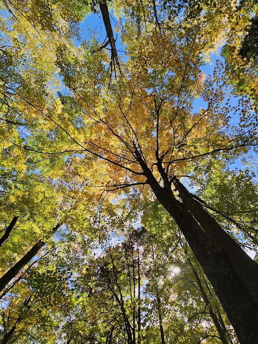 Mountainview Nature Park Picture 1