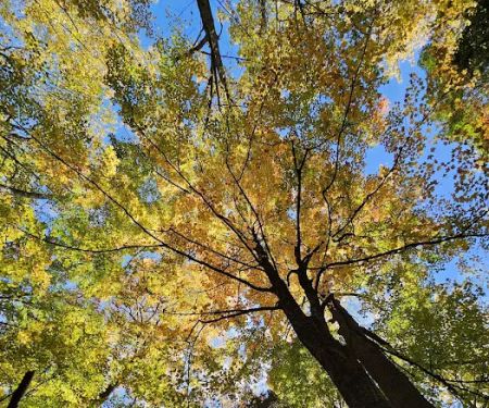 Mountainview Nature Park