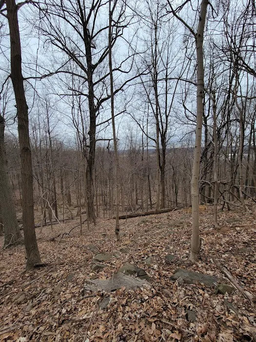 Mountainview Nature Park Picture 4