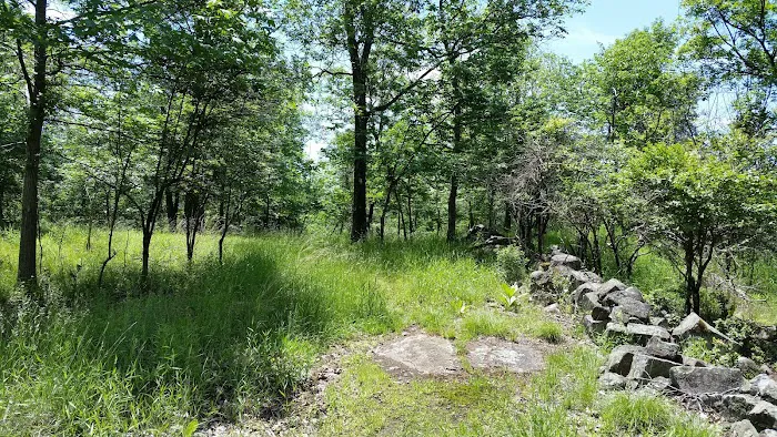 Mountainview Nature Park Picture 10