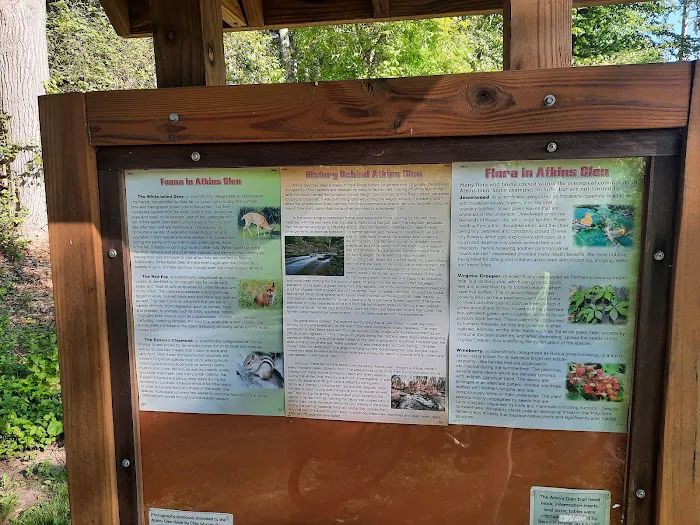 Atkins Glen Picture 1