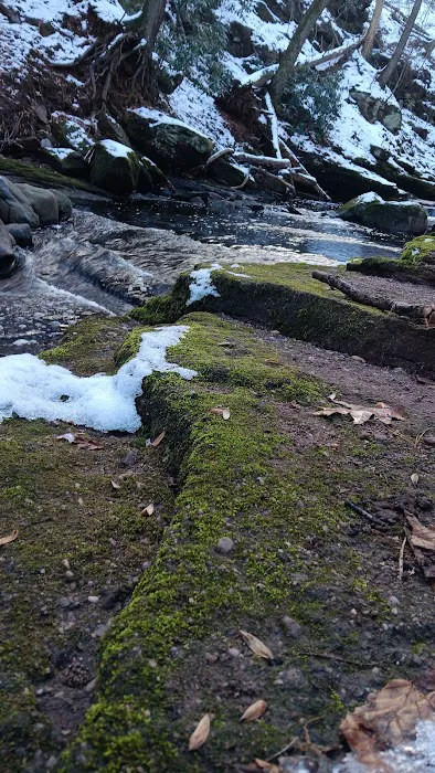 Atkins’s Glen Picture 7