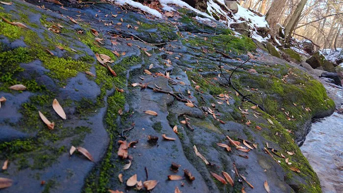 Atkins’s Glen Picture 2
