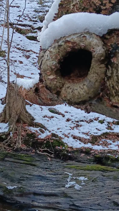 Atkins’s Glen Picture 4
