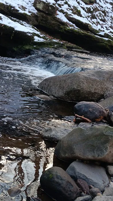 Atkins’s Glen Picture 1