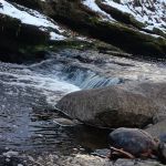 Atkins’s Glen