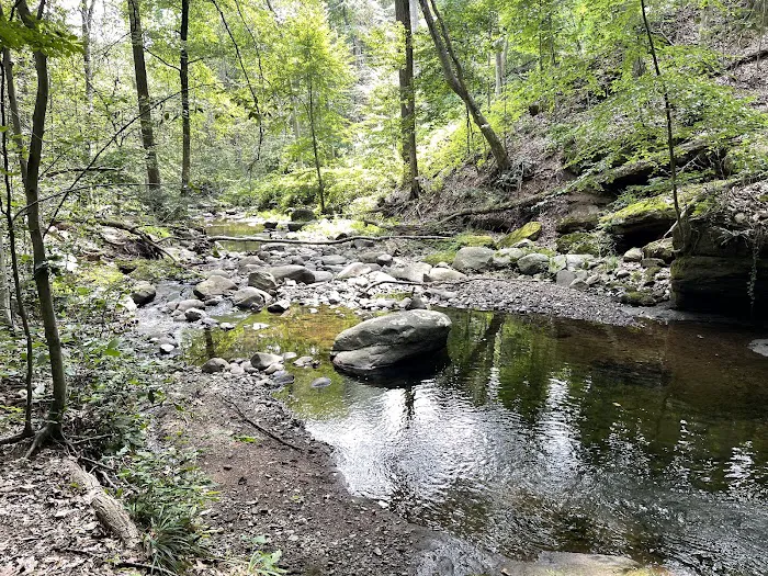 Atkins’s Glen Picture 8