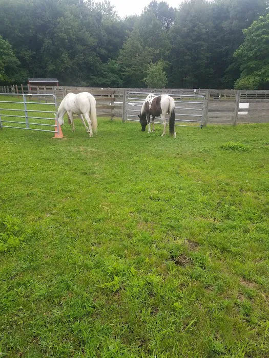 Nanuet Sports Grounds And Trail Picture 9