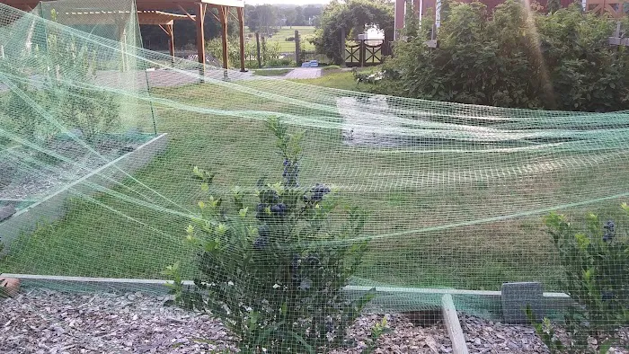 Nanuet Sports Grounds And Trail Picture 7