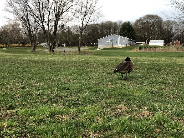 Nanuet Sports Grounds And Trail Picture 10
