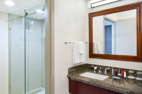 Marriott Park Ridge Picture 4