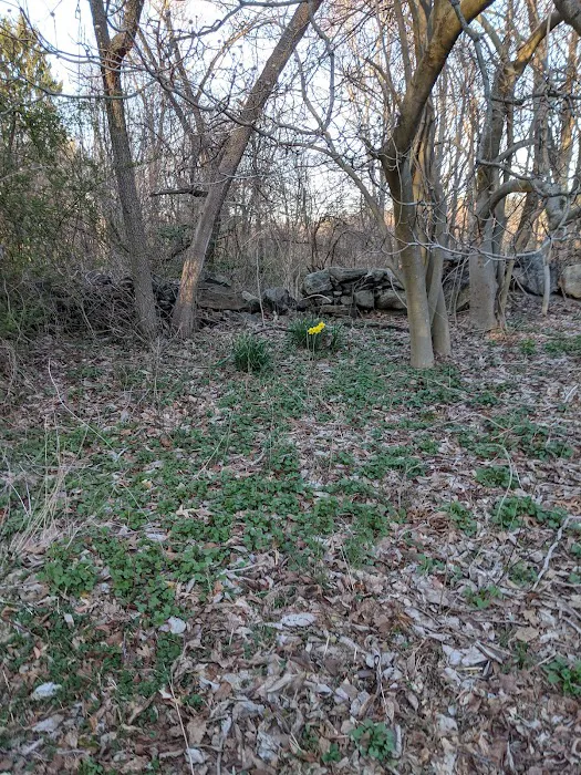 Pruyn Audubon Sanctuary Picture 9