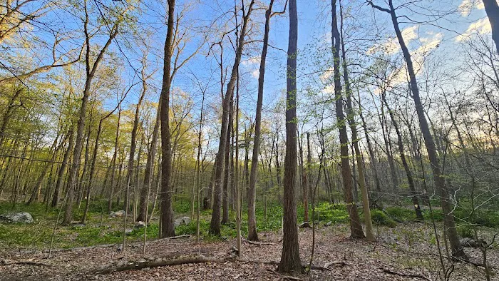 Pruyn Audubon Sanctuary Picture 5