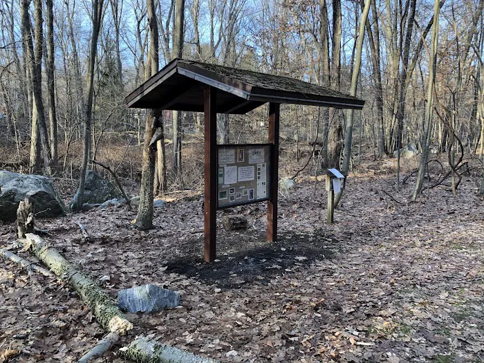 Pruyn Audubon Sanctuary Picture 7