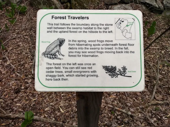 Pruyn Audubon Sanctuary Picture 6