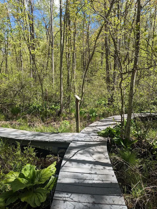 Pruyn Audubon Sanctuary Picture 4