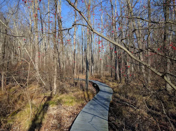 Pruyn Audubon Sanctuary Picture 1