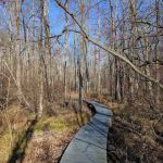 Pruyn Audubon Sanctuary