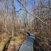 Pruyn Audubon Sanctuary ico