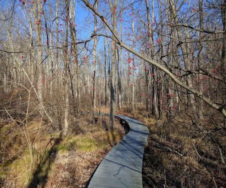 Pruyn Audubon Sanctuary