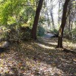 Crawbuckie Park
