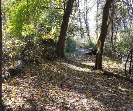 Crawbuckie Park