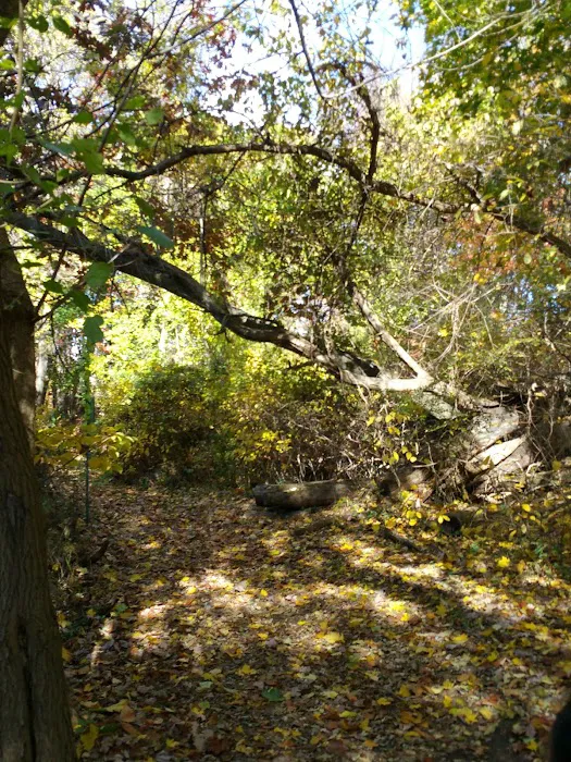 Crawbuckie Park Picture 3