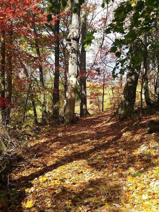 Crawbuckie Park Picture 6