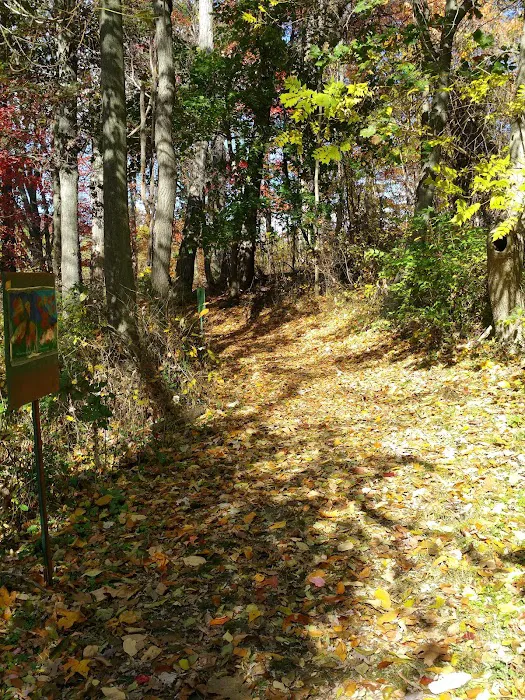 Crawbuckie Park Picture 5