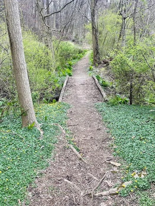 Crawbuckie Park and Nature Preserve Picture 1
