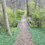 Crawbuckie Park and Nature Preserve