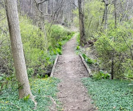 Crawbuckie Park and Nature Preserve