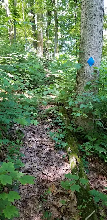Warburg Park Picture 1